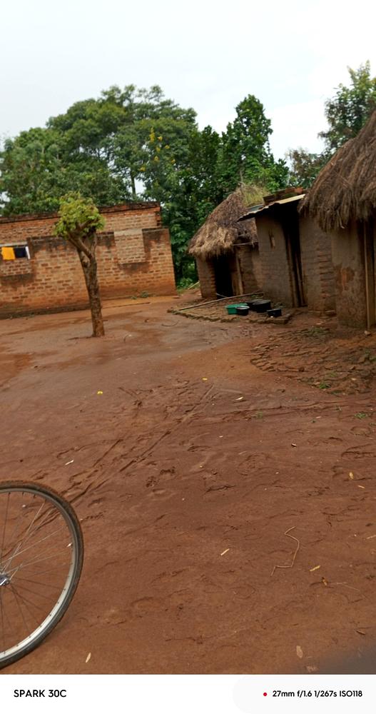 Wolimbwa Community Foundation community activity